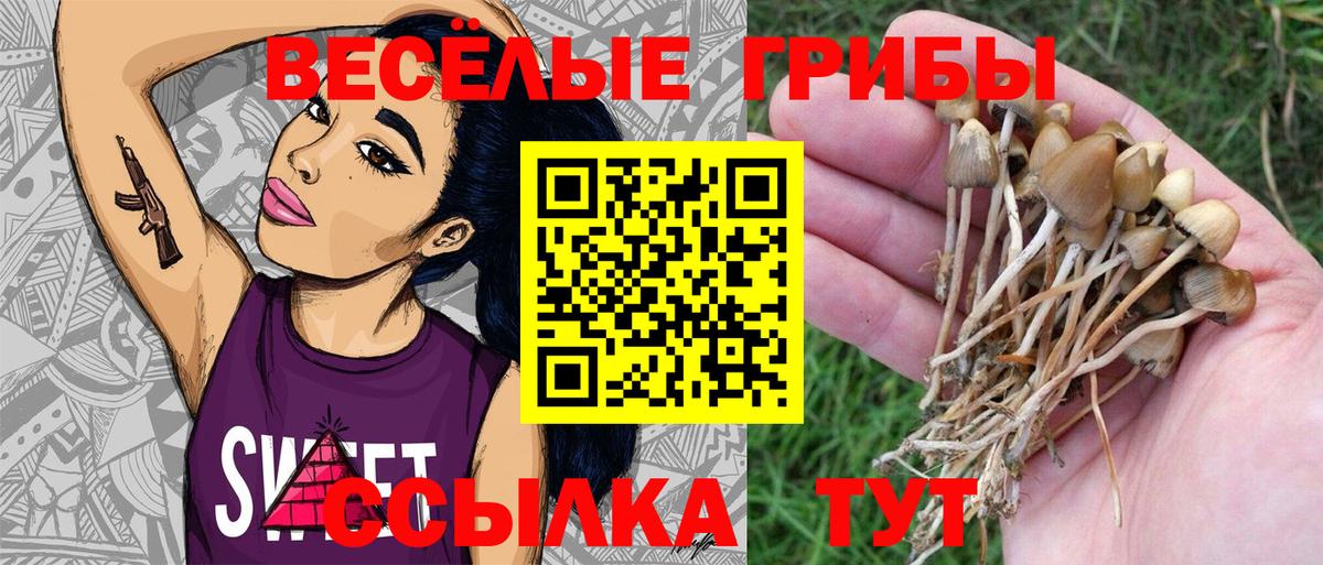 Чебаркуль  даркнет сайт  Вход с VPN  Псилоцибиновые грибы ЛСД 